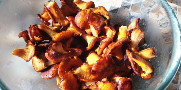 крем-суп из лисичек