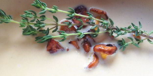 крем-суп из лисичек