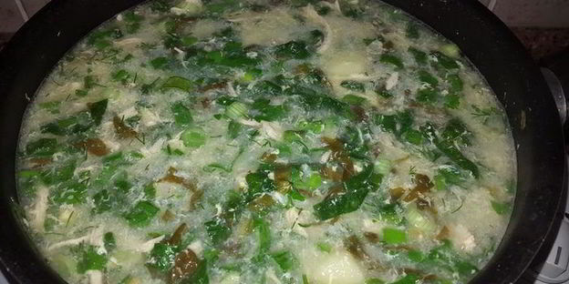 куриный суп со шпинатом, щавелем и зеленью