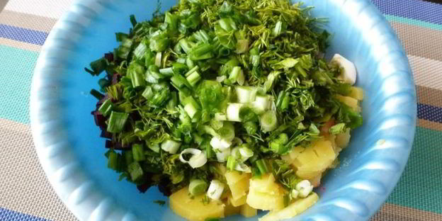 окрошка со свеклой и мацони