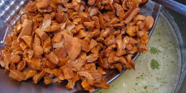 наваристая похлебка с грибами