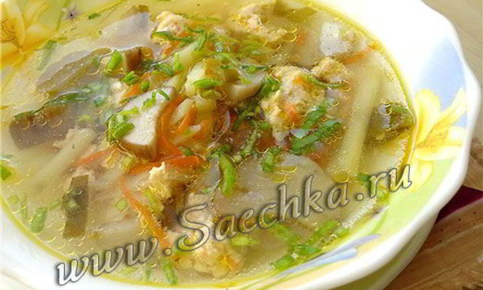 Рецепт похлебки грибной на мясном бульоне
