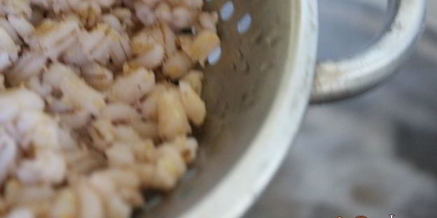 рассольник с маслятами и ветчиной