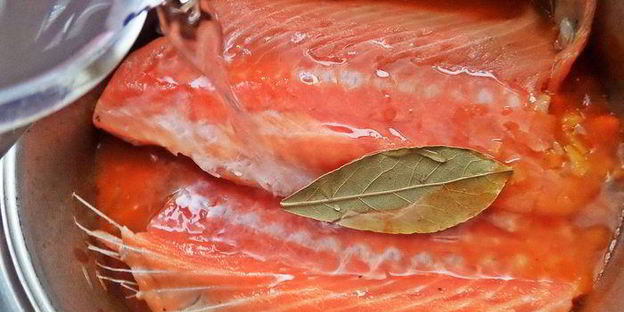 рыбный рассольник