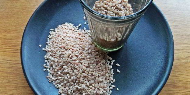 рыбный рассольник