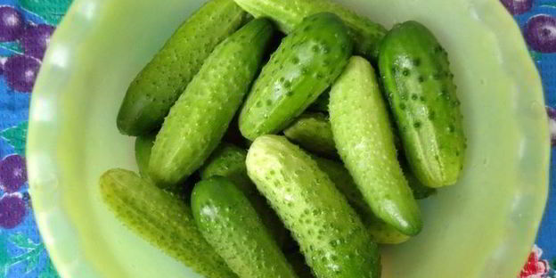 заготовка рассольника на зиму