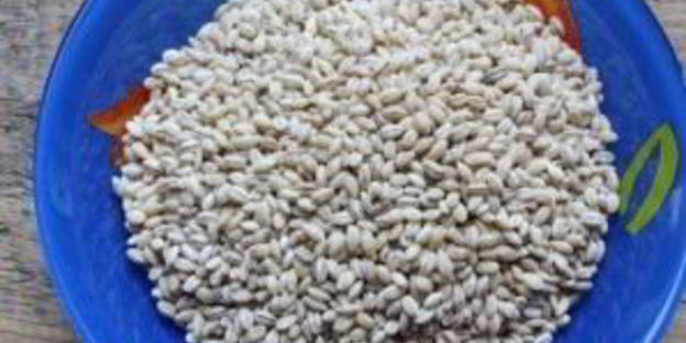 заправка для рассольника с перловкой на зиму