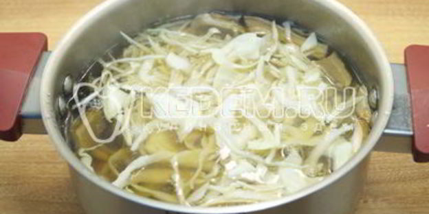 постные щи с капустой и грибами