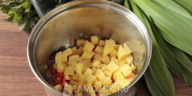 постные зеленые щи с крапивой и китайским чесноком