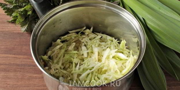 постные зеленые щи с крапивой и китайским чесноком