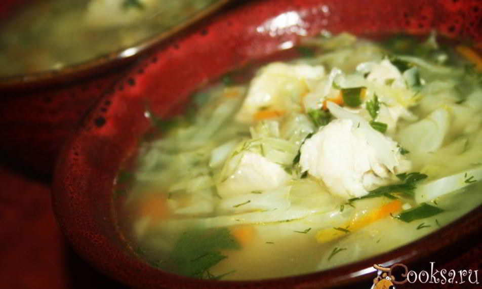 Рецепт простых щей со свининой и свежей капустой