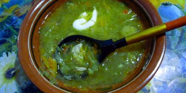 щи из кислой квашеной капусты с грибами