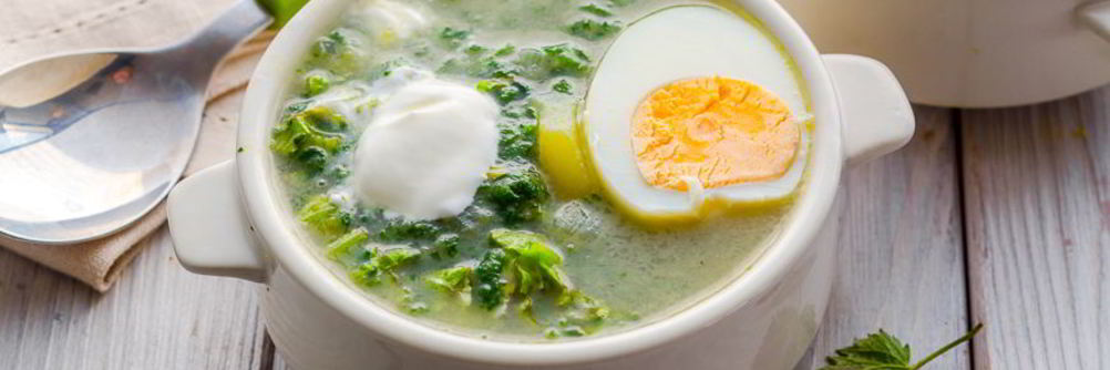 Щи из крапивы