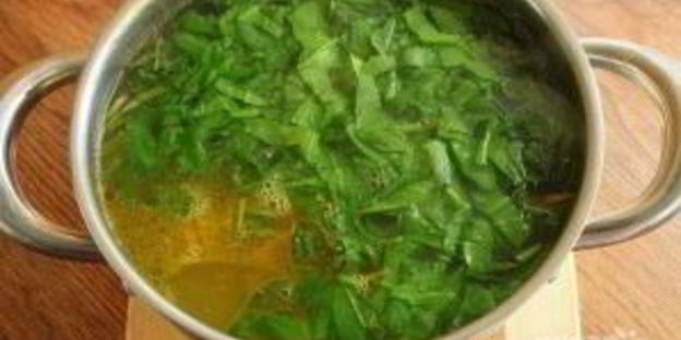 щи из одуванчиков