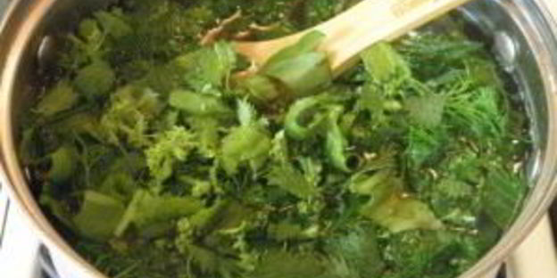 щи из щавеля и крапивы