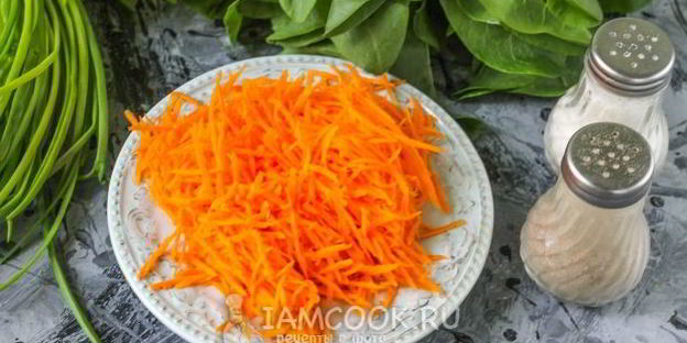 щи из щавеля на мясном бульоне