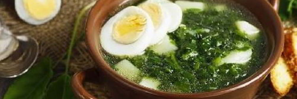 Щи из щавеля