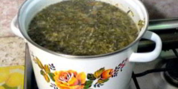 щи из щеницы