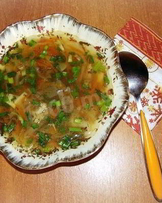 Щи из свежей капусты с мясом говядины