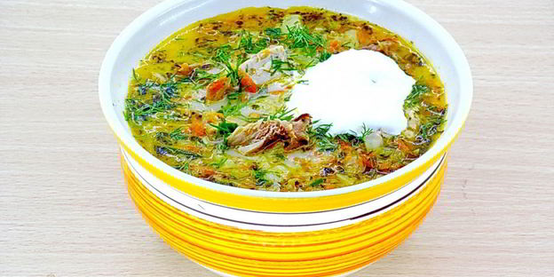 щи из свежей капусты с плавленым сыром