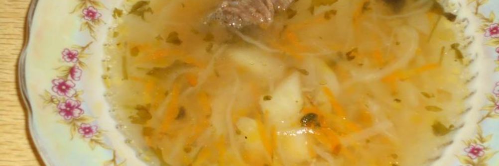 Щи кислые с говядиной