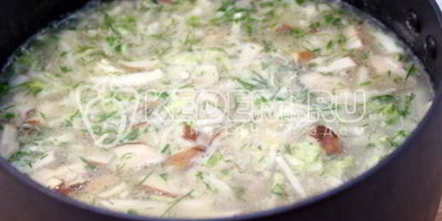 щи с грибами