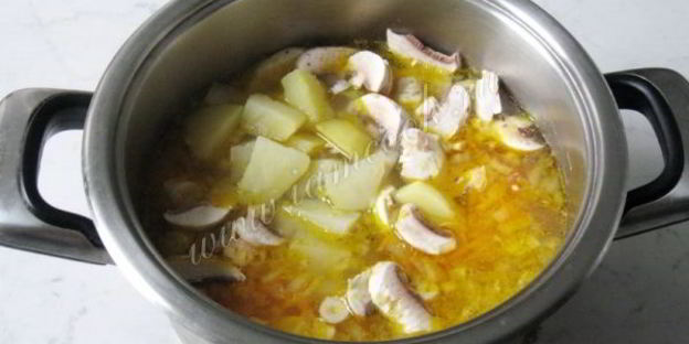 щи с квашеной капустой и грибами