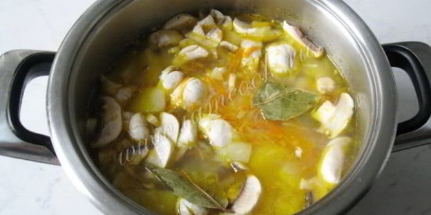 щи с квашеной капустой и грибами