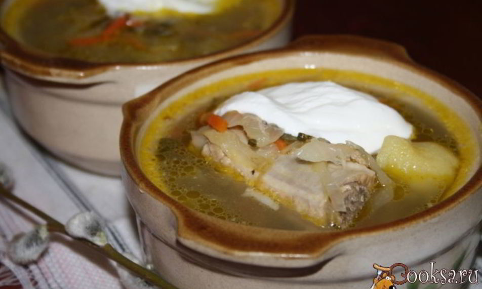 Рецепт щей с квашеной капустой и молодым щавлем