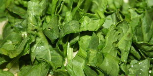 щи с квашеной капустой и молодым щавлем