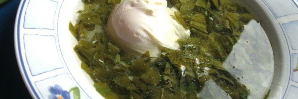 Щи щавелевые холодные