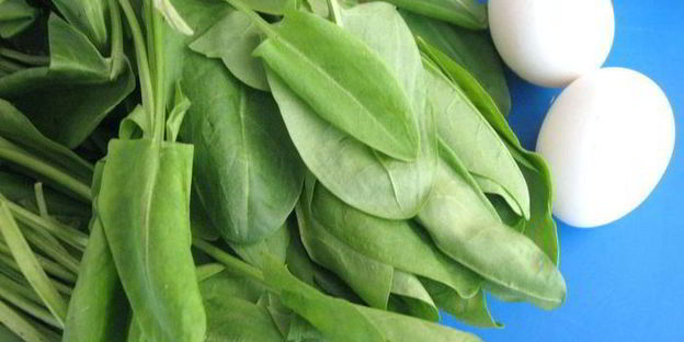 щи щавелевые холодные