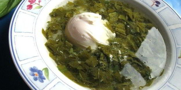 щи щавелевые холодные