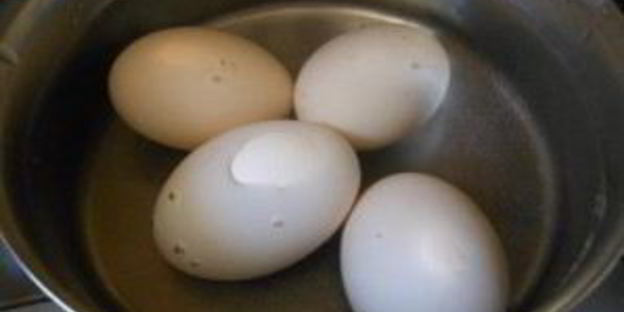 щи со щавелем