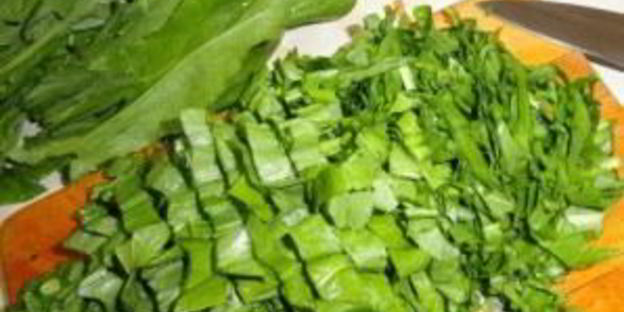 щи со щавелем