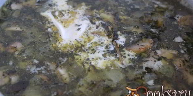 щи со шпинатом и шампиньонами