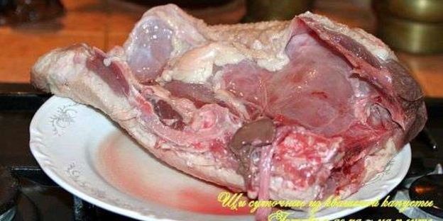 щи суточные из квашенной капусты