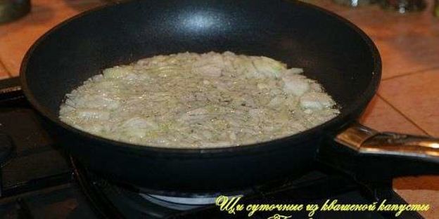 щи суточные из квашенной капусты