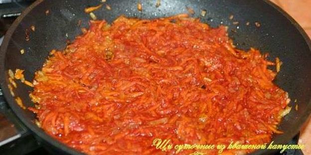 щи суточные из квашенной капусты