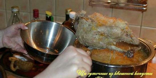 щи суточные из квашенной капусты