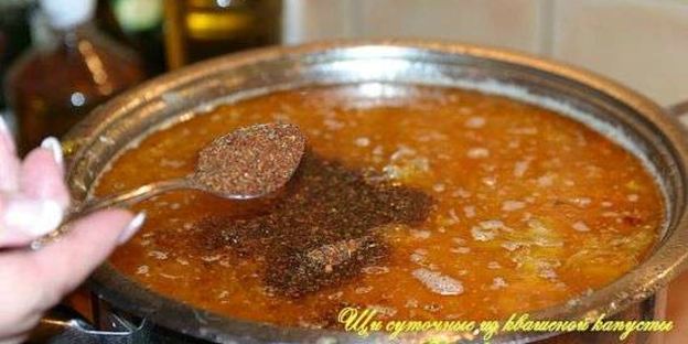 щи суточные из квашенной капусты