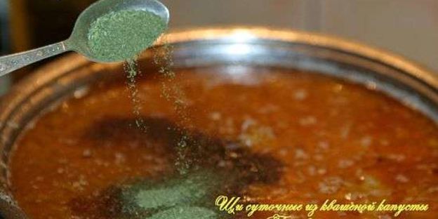 щи суточные из квашенной капусты