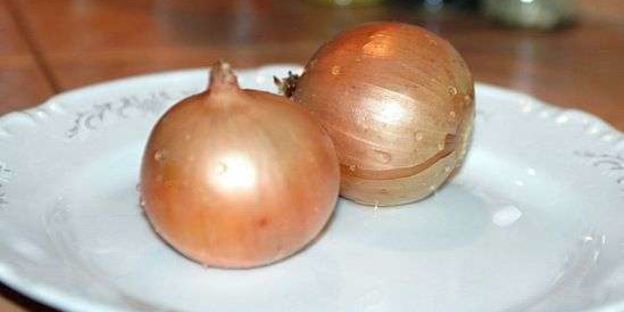 щи суточные из квашенной капусты