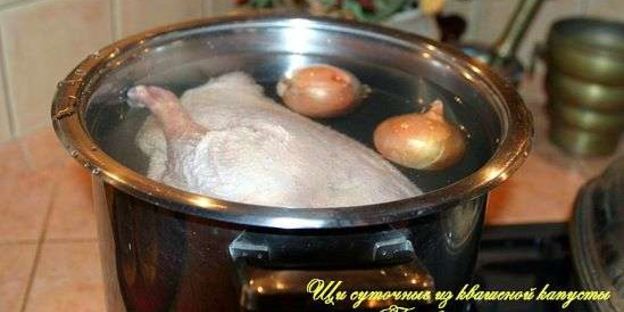 щи суточные из квашенной капусты