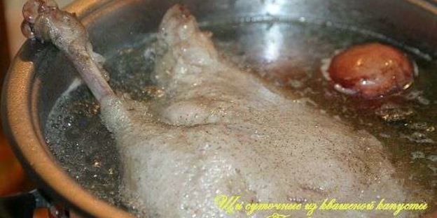 щи суточные из квашенной капусты