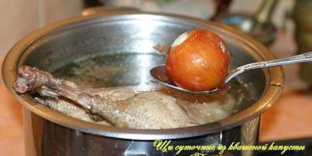 щи суточные из квашенной капусты