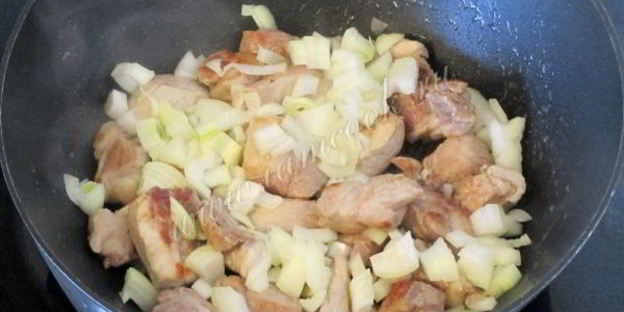 щи суточные из квашеной капусты