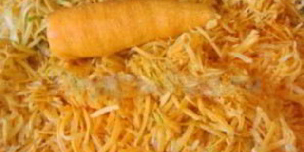 зеленые щи на зиму