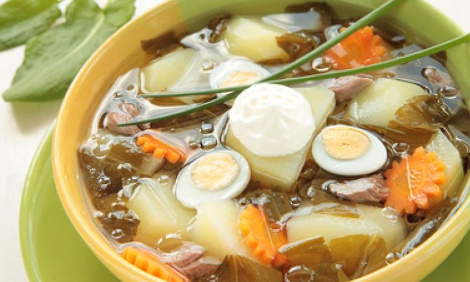 Рецепт зеленых щей с щавелем и перепелиными яйцами