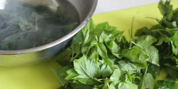 зеленые весенние щи с фрикадельками